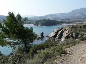 photo coins arrondis